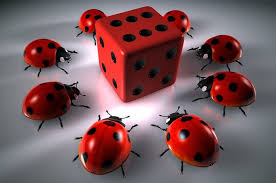 Официальный сайт Casino SpinCity
